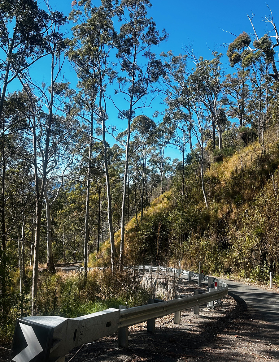 Processed with VSCO with a6 preset