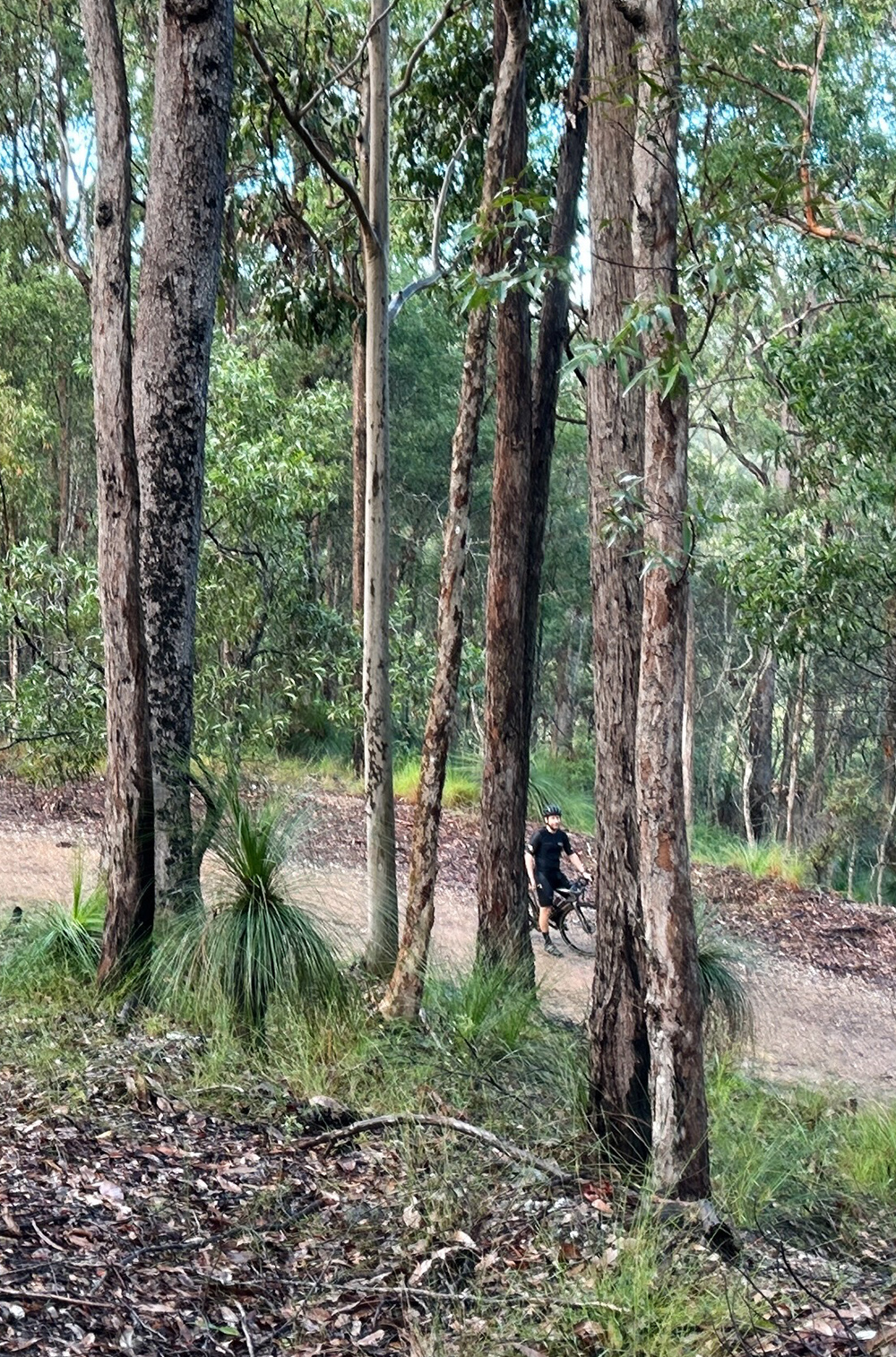 Processed with VSCO with al3 preset