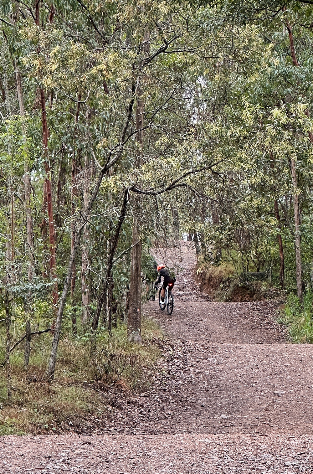 Processed with VSCO with al3 preset