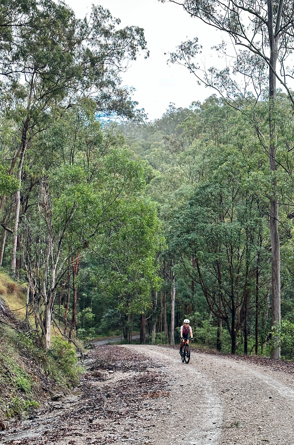 Processed with VSCO with al3 preset