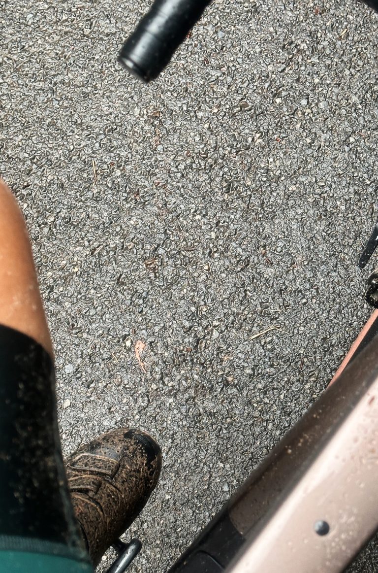 Processed with VSCO with al3 preset