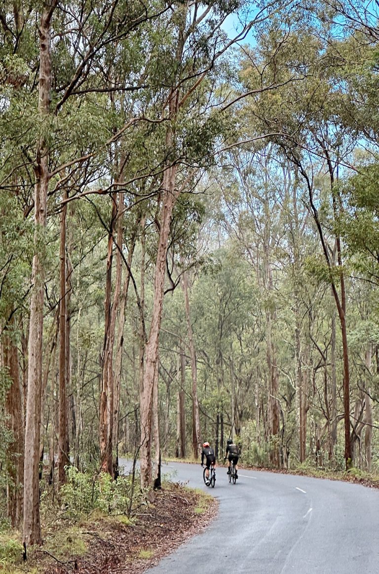 Processed with VSCO with al3 preset