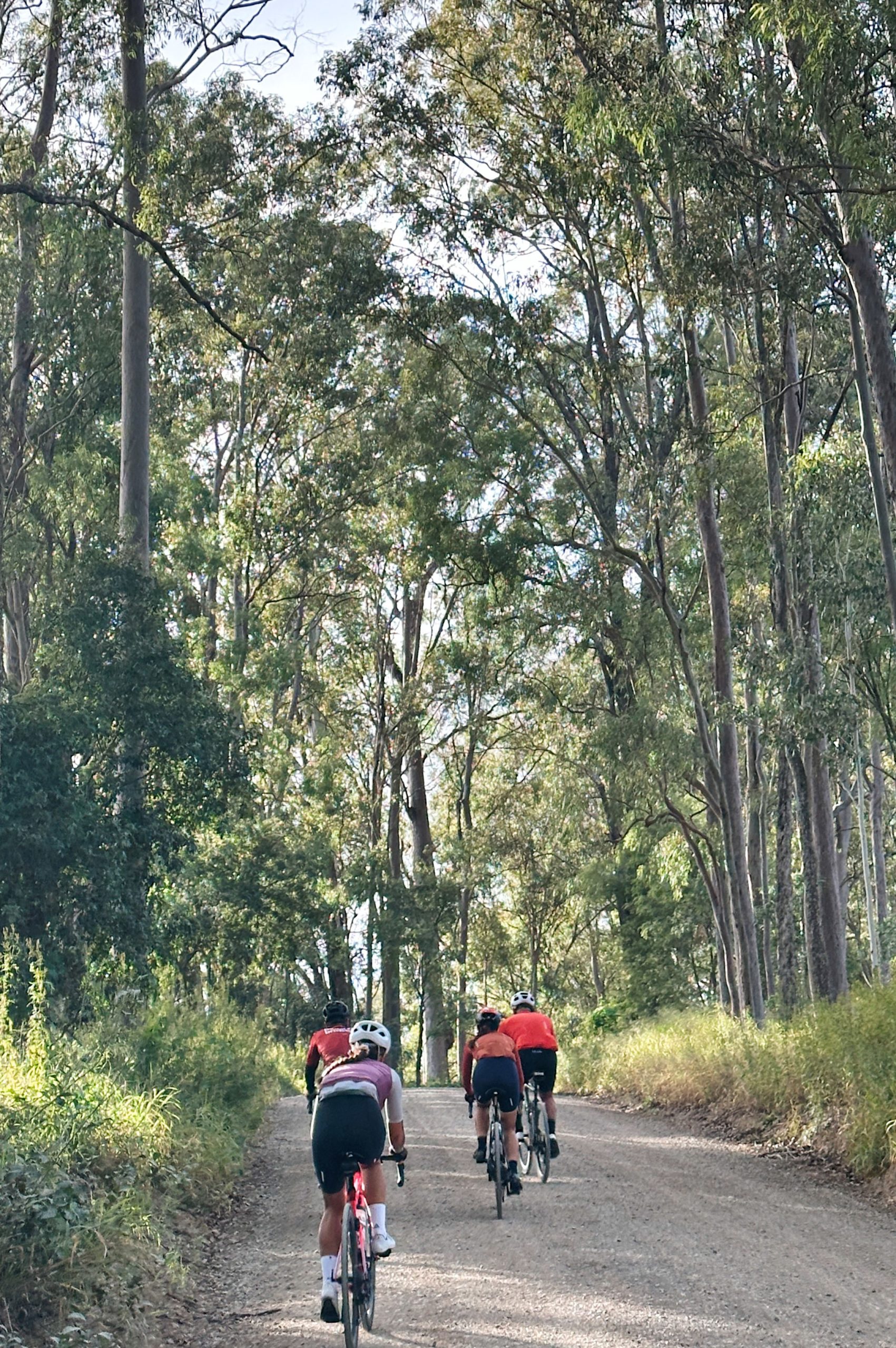 Processed with VSCO with al3 preset