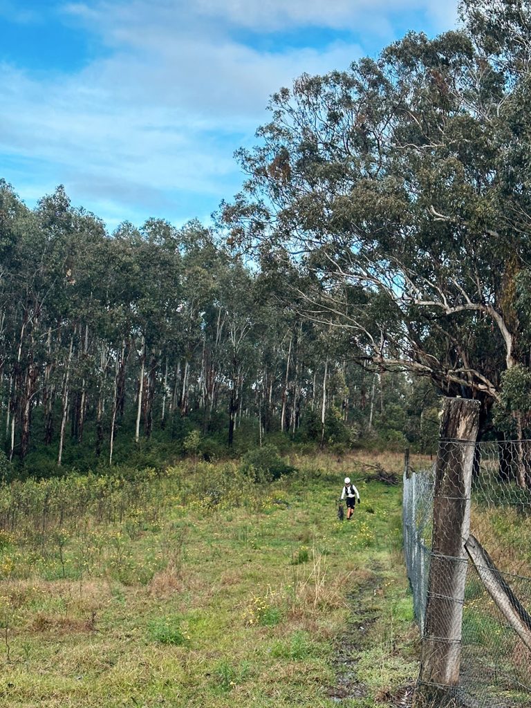 Processed with VSCO with al3 preset