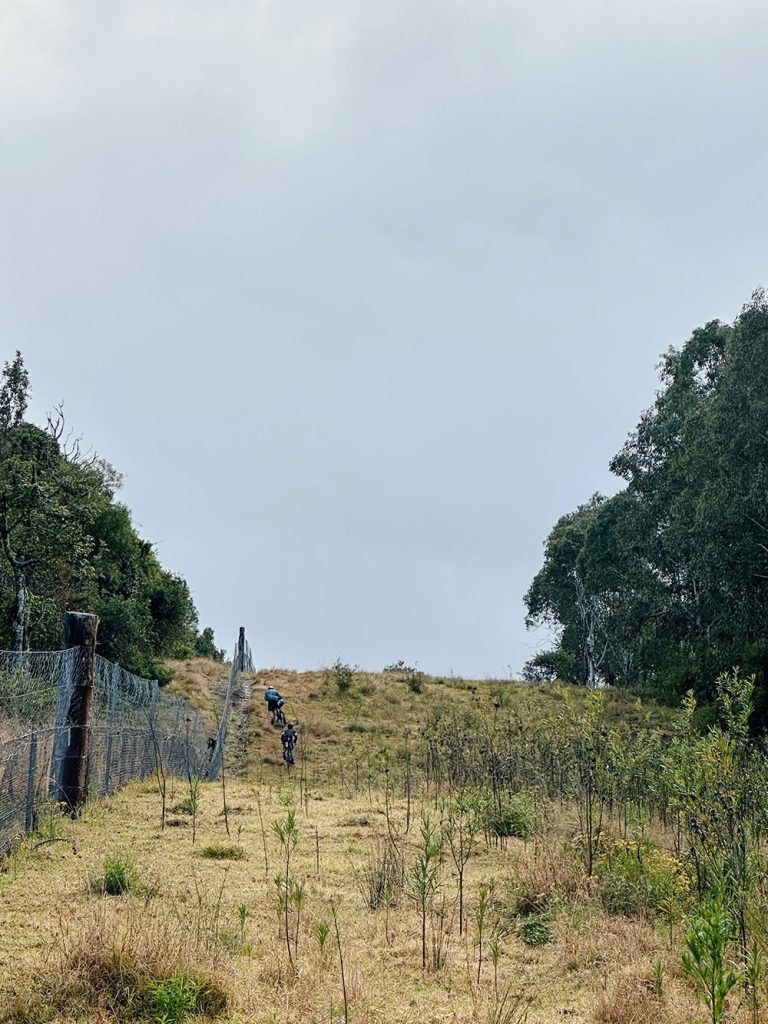 Processed with VSCO with al3 preset