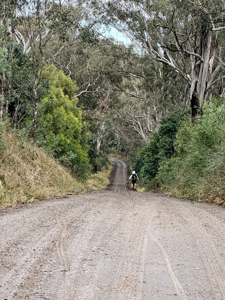 Processed with VSCO with al3 preset