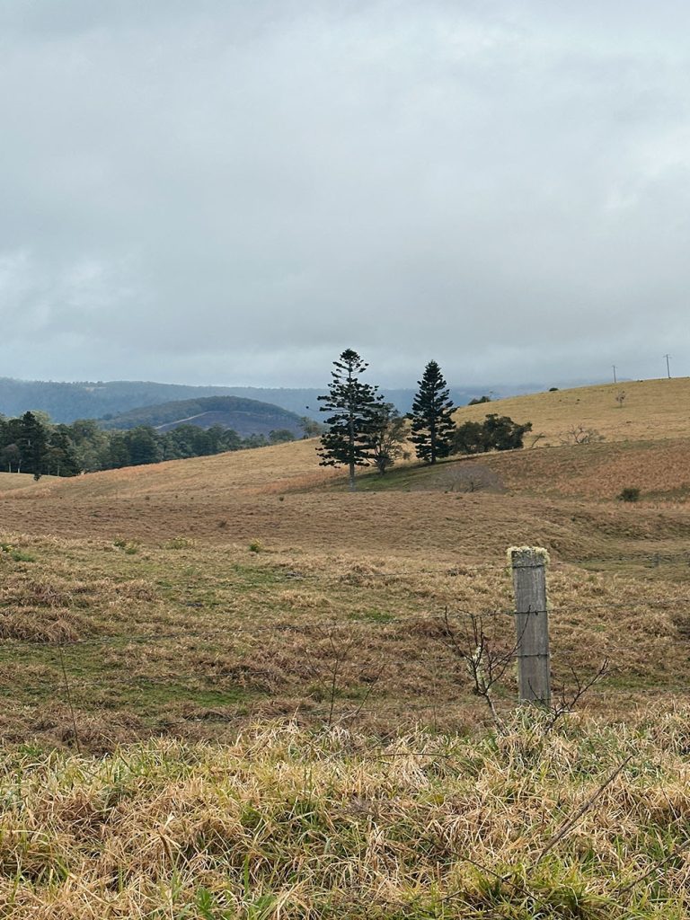 Processed with VSCO with al3 preset