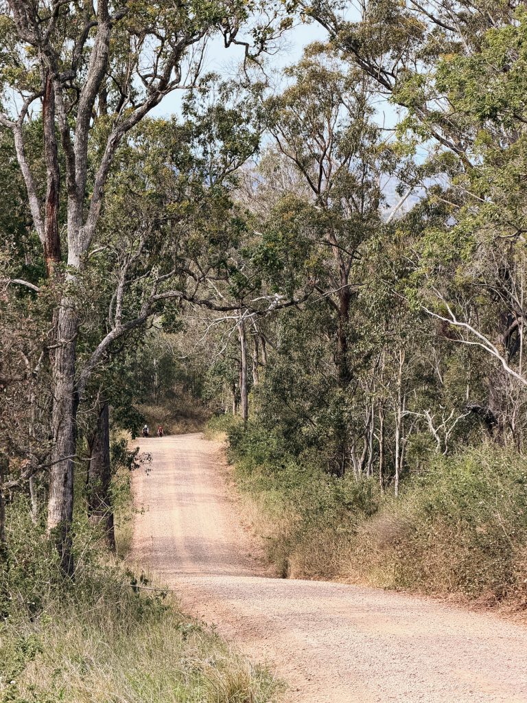 Processed with VSCO with a6 preset