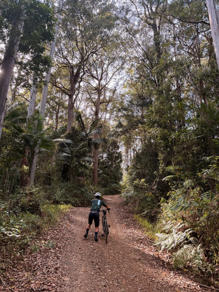Processed with VSCO with al3 preset
